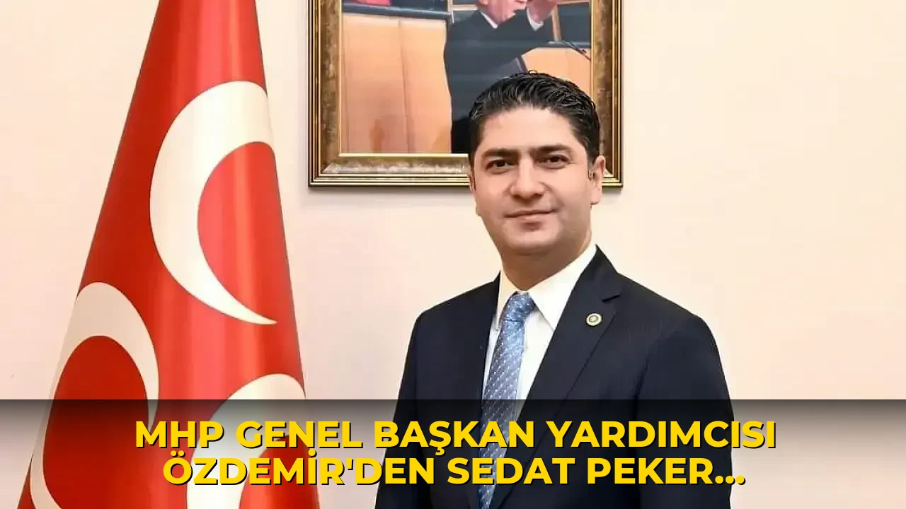 MHP Genel Başkan Yardımcısı Özdemir'den Sedat Peker paylaşımı