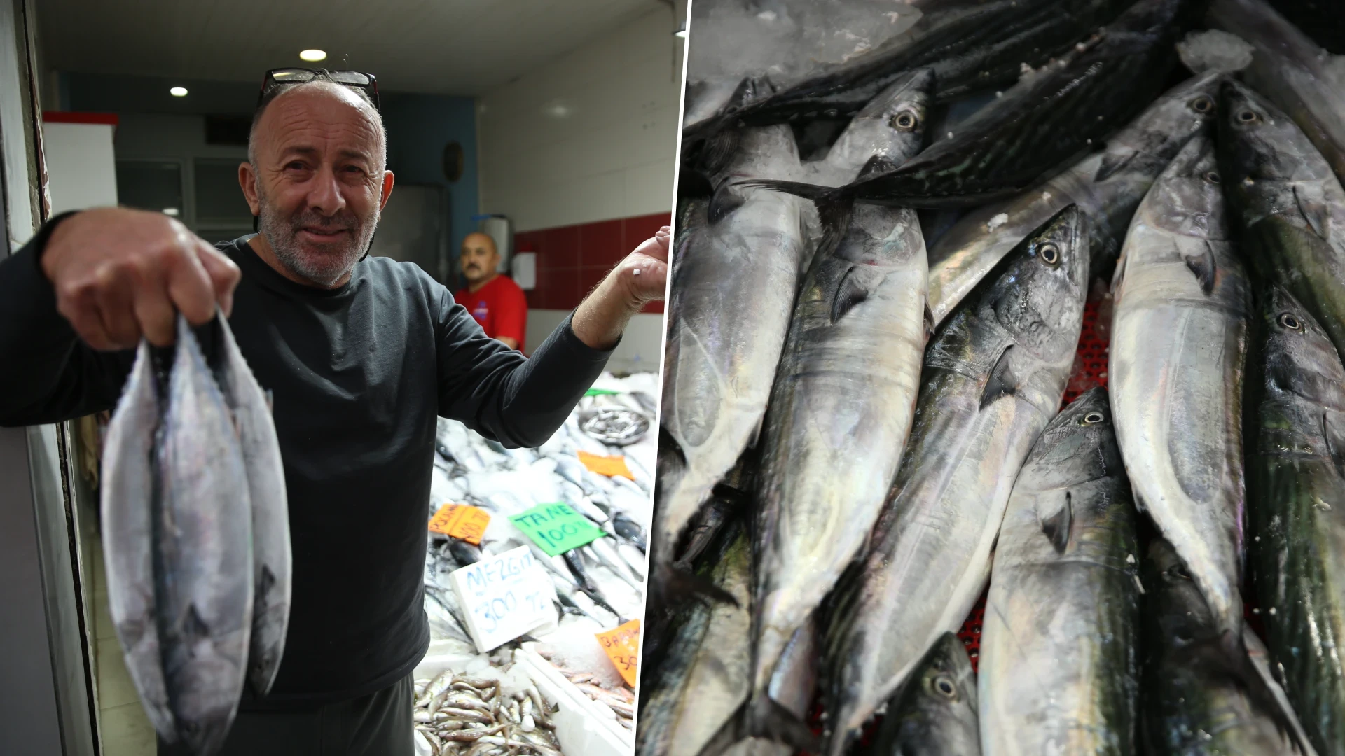 Palamut fiyatları ne kadar oldu? Karadeniz'de av sezonu bereketi tezgahları doldurdu