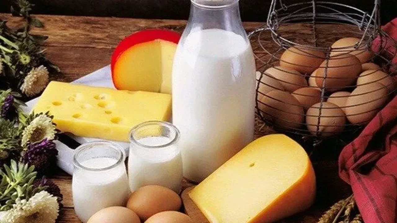 Türk Gıda Kodeksi İçme Sütleri Tebliği'nde önemli değişiklikler yapıldı