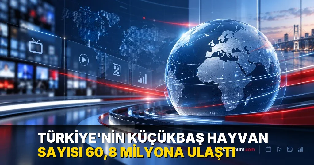 Türkiye'nin Küçükbaş hayvan sayısı 60,8 milyona ulaştı
