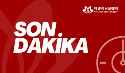 Fon soruşturması sonrası Bahçeli'den dikkat çeken açıklama