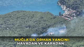 Muğla'da orman yangını: Havadan ve karadan müdahale ediliyor
