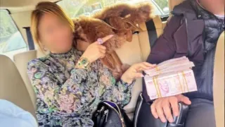 Adliyelerde yargı süreçlerine müdahale ettiği belirlenen 8 hakim ve avukat tutuklandı