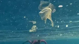 Antalya sahilleri yağışlar sonrası 'plastik çöplüğü'ne döndü!