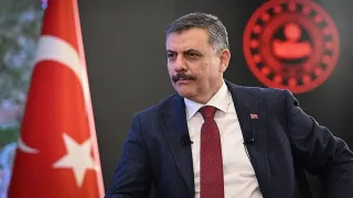 Bakan Çiftçi: Sahipsiz hayvan tespitinde yüzde 99,9'a ulaşıldı