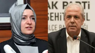 Eski AK Parti Milletvekili Şamil Tayyar'dan Yeni Akit yazarına tepki