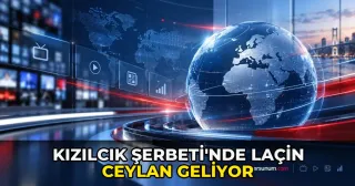 Kızılcık Şerbeti'nde Laçin Ceylan geliyor