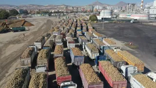 Şeker pancarı alım fiyatları belli oldu