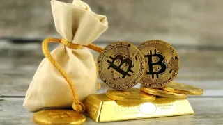 Ünlü ekonomistten kritik altın, Bitcoin ve yapay zekâ balonu uyarıları!