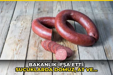 Bakanlık ifşa etti: Sucuklarda domuz, at ve eşek eti tespit edildi!
