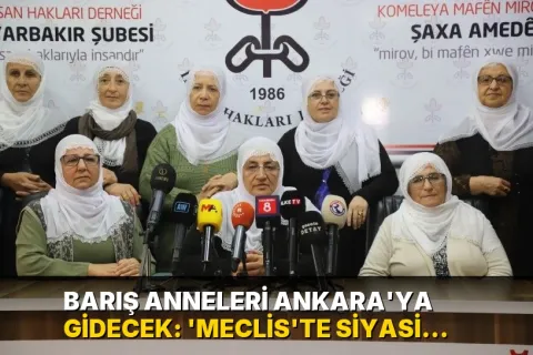 Barış Anneleri Ankara'ya gidecek: 'Meclis'te siyasi partilerle görüşüp Barış Nöbeti tutacağız'