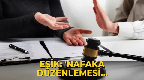 EŞİK: 'Nafaka düzenlemesi kadınların ortak mücadelesiyle paketten çıkarıldı'