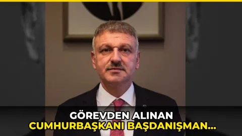 Görevden alınan Cumhurbaşkanı Başdanışmanı Oktay Saral'dan ilk açıklama!