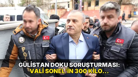 Gülistan Doku soruşturması: Vali Sonel'in 300 kilo eroin yazışması iddianameye girdi